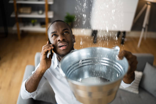 Best Water damage cleanup near me  in Vernon Center, NJ