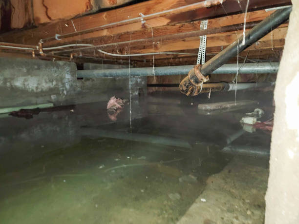 Best Fire Damage Restoration  in Vernon Center, NJ
