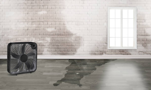 Best Commercial water damage restoration  in Vernon Center, NJ